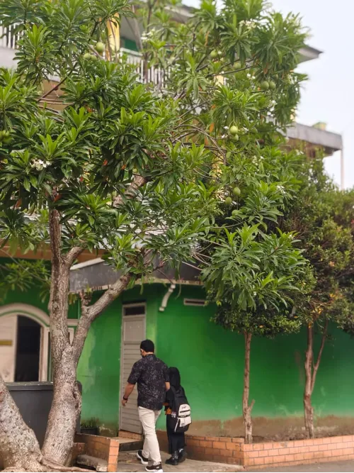 SD Unggulan 'Aisyiyah Taman Harapan Gelar Pembagian Rapot Sumatif Tengah Semester Ganjil