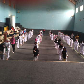 Taekwondo